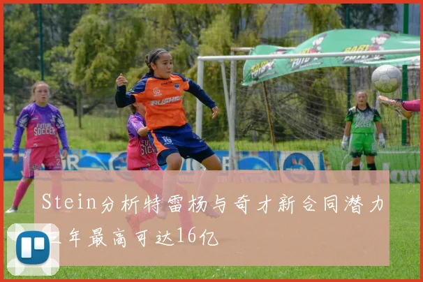 Stein分析特雷杨与奇才新合同潜力三年最高可达16亿