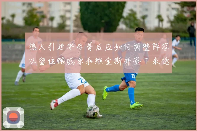 热火引进字母哥后应如何调整阵容以留住鲍威尔和维金斯并签下米德尔顿
